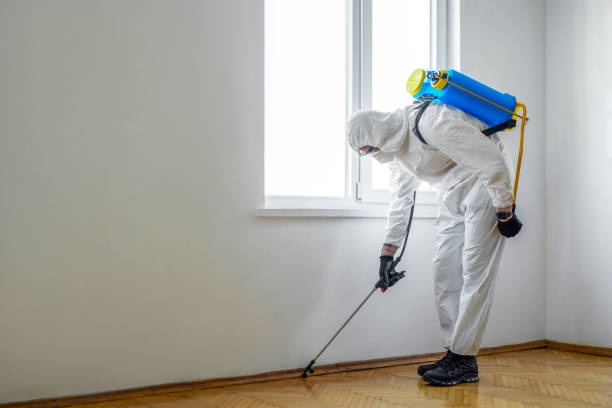 Best Pest Inspection Near Me  in Lovell, WY